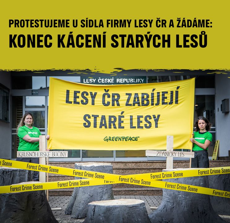 🌳 LESY ČR, NEBO KÁCÍME ČR: Dnes jsme protestovali před budovou státního podniku Lesy ČR v Hradci Králové. Státní podnik totiž de…