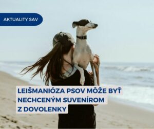 🏝️Dovolenková sezóna je v plnom prúde, no majitelia psov cestujúcich do zahraničia by mali byť obozretní.🐕 Leishmanióza, závažné…