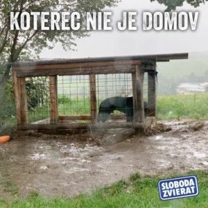 ⚠️💦🌊 Na západnom Slovensku už intenzívne, vytrvalo prší a má to pokračovať aj ďalšie dni a na väčšine územia Slovenska